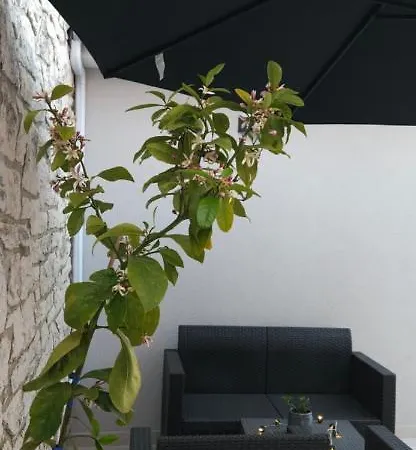 Betty Borik - Whole Ground Floor * Rovinj