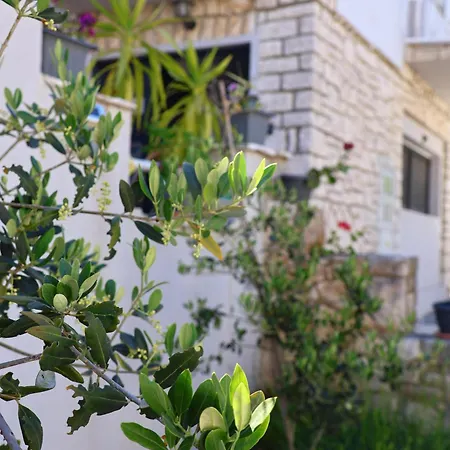 Betty Borik - Whole Ground Floor Apartment Rovinj